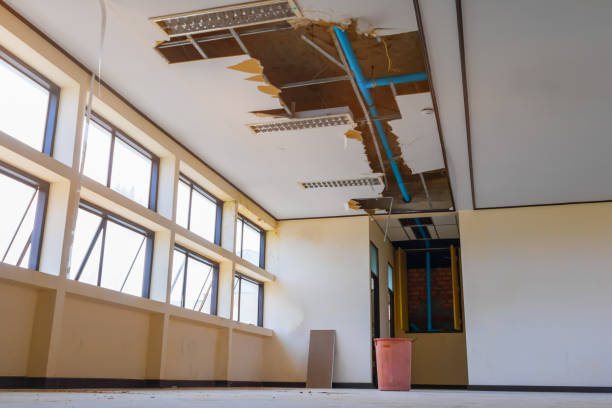 Best Water damage restoration near me  in Tusculum, TN