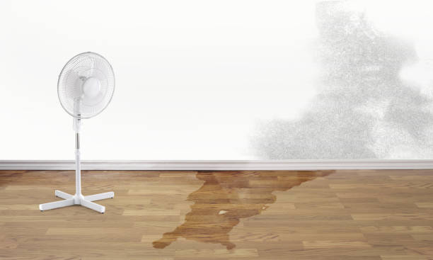 Best Water damage restoration near me  in Tusculum, TN