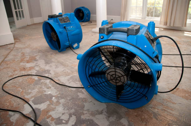 Best Commercial water damage restoration  in Tusculum, TN