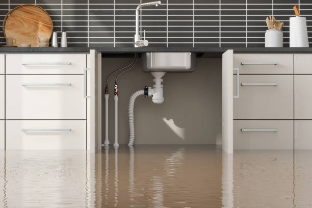 Best Water damage contractors near me  in Tusculum, TN