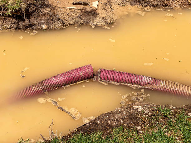 Best Residential water damage restoration  in Tusculum, TN
