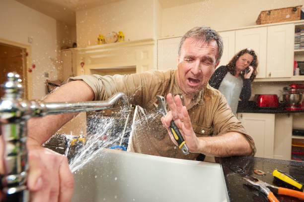 Best Flooded house restoration  in Tusculum, TN